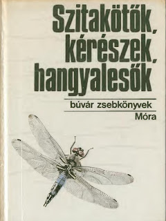Szitakorok.jpg
