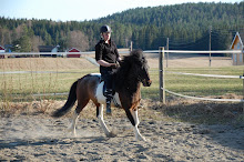 Mitt foto