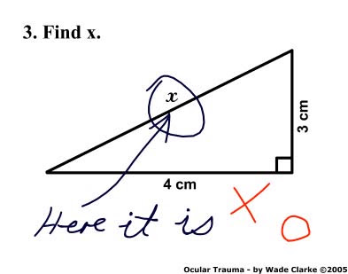 funny answers. funny math answers