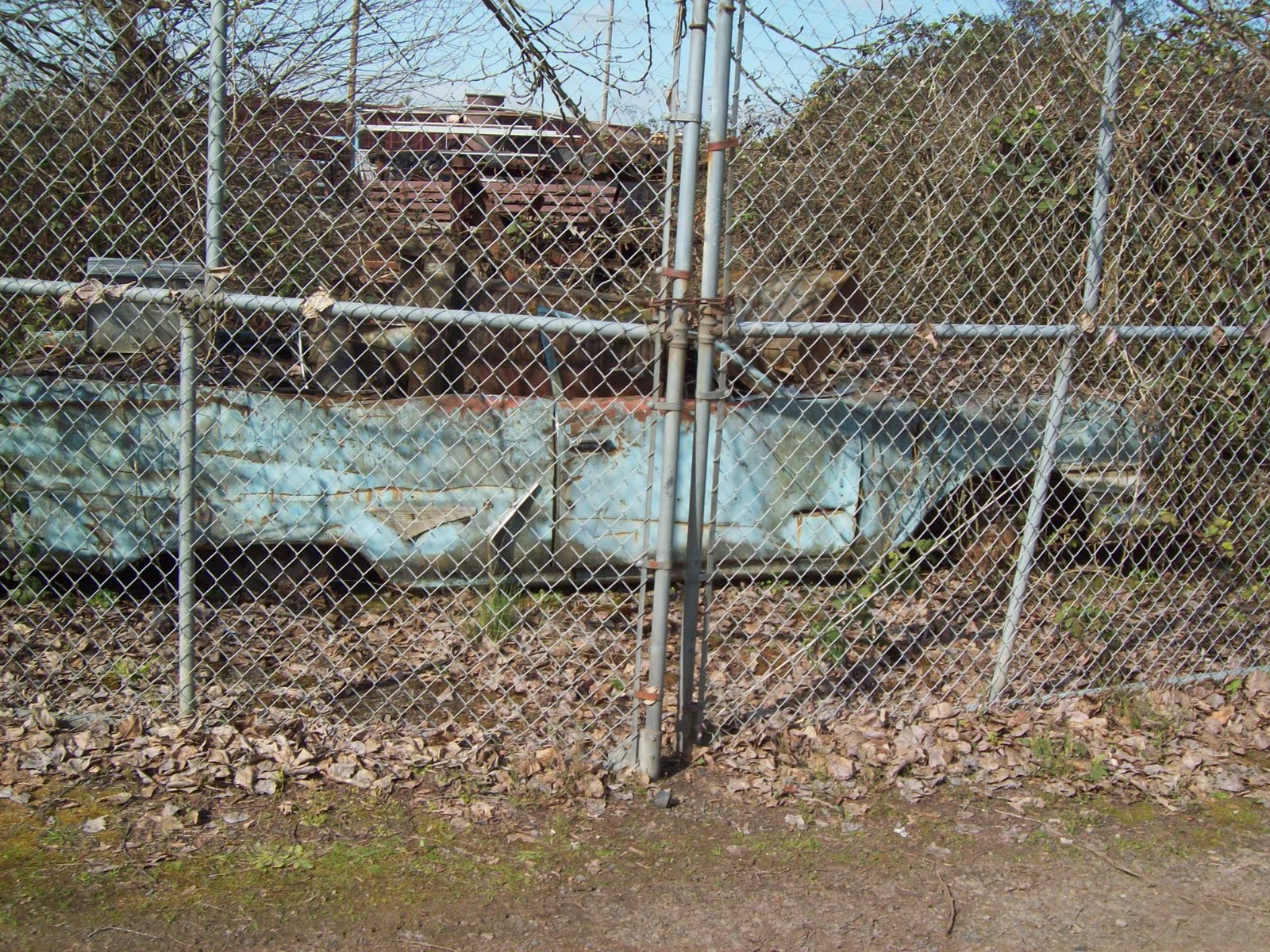 Craigslist Eugene Free