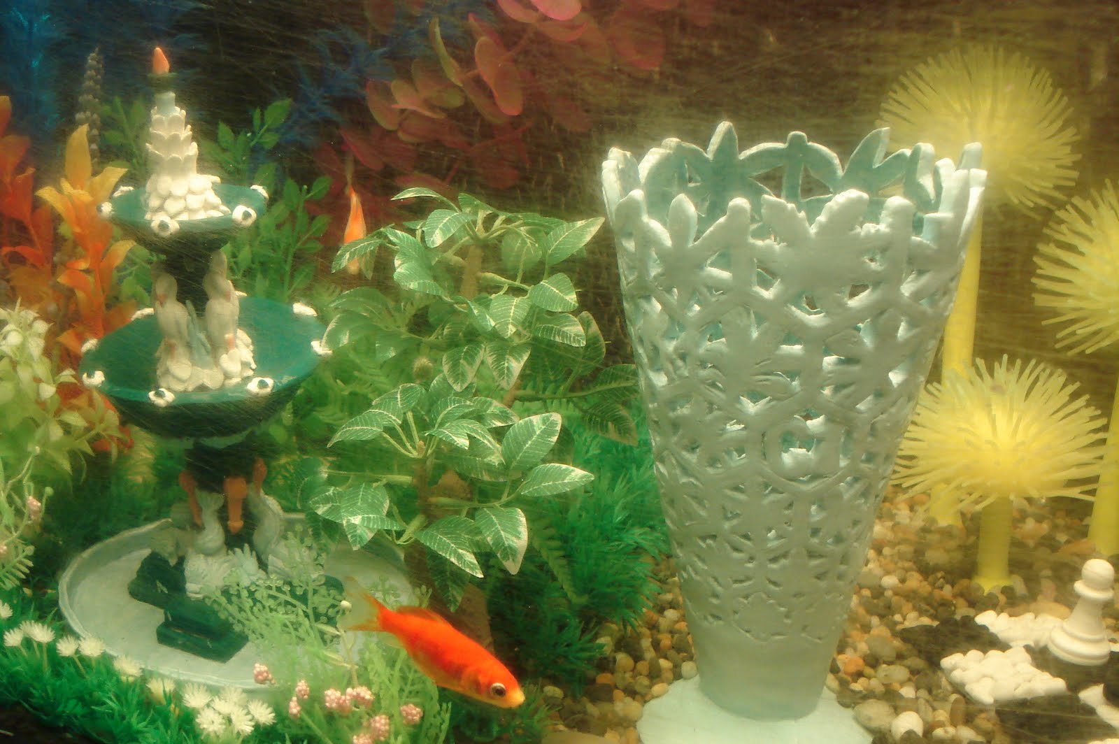 The Good The luckiest fish in Christchurch?