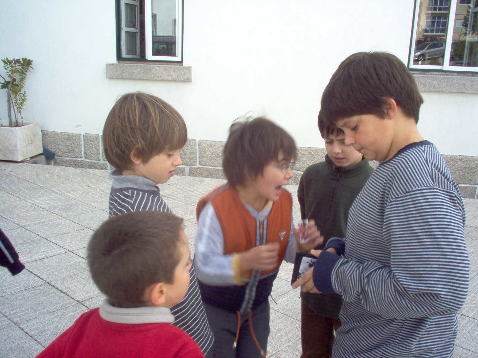 [IM000314.JPG]