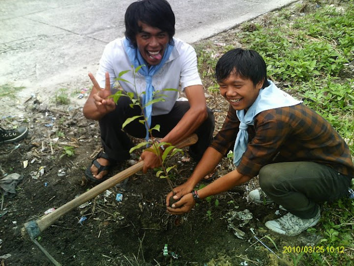 aksi hijau