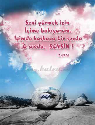[sevgi-resim.jpg]