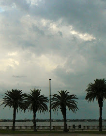 Tampa Florida Photo June 2009