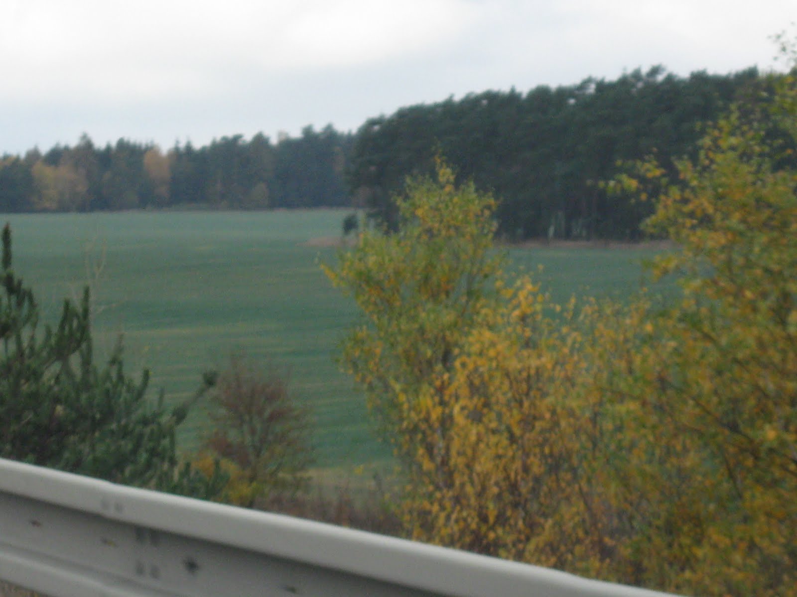 [IMG_2443.JPG]