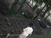 Back Yard Garden at the House