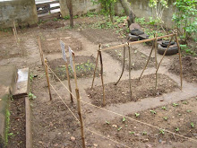 The new and improved Garden