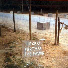 [post-2-1083401853.jpg]