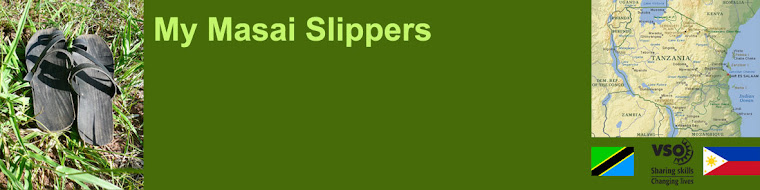 my masai slippers