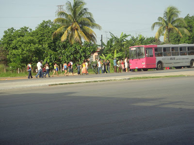 Un día a lo cubano Transporte+(23)