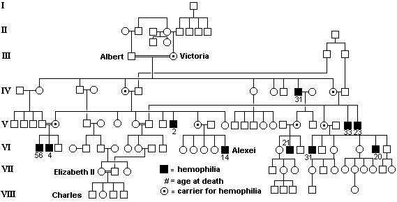Queen Elizabeth Ancestry Chart