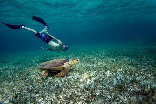 [John&Loggerhead_MG_6089.jpg]