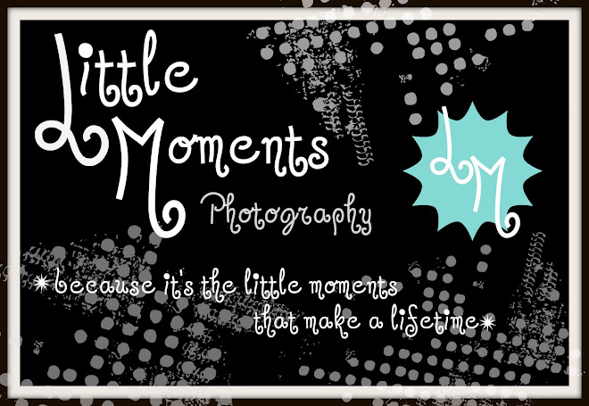 Little Moments photography