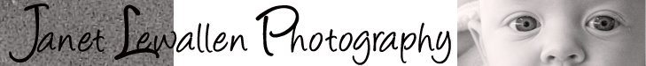 Janet Lewallen Photography