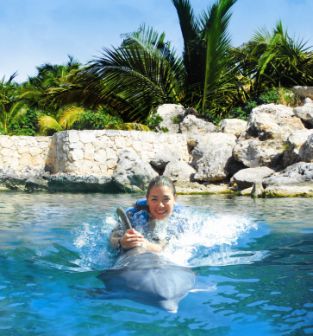 [Dolphin-Ride-Foto.jpg]