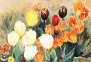 [tulipani.jpg]