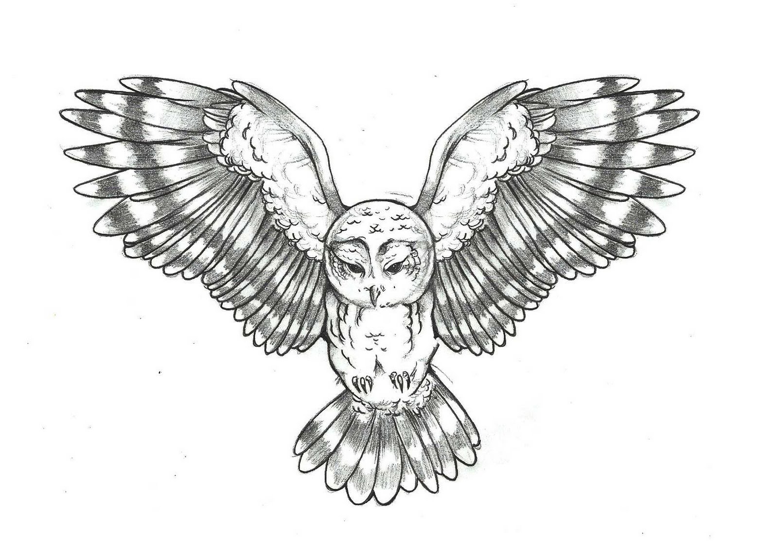 Owl Tattoos Owl Tattoos