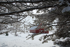 the barn and pasture in winter