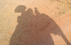 silhouette of our Elephant Safari