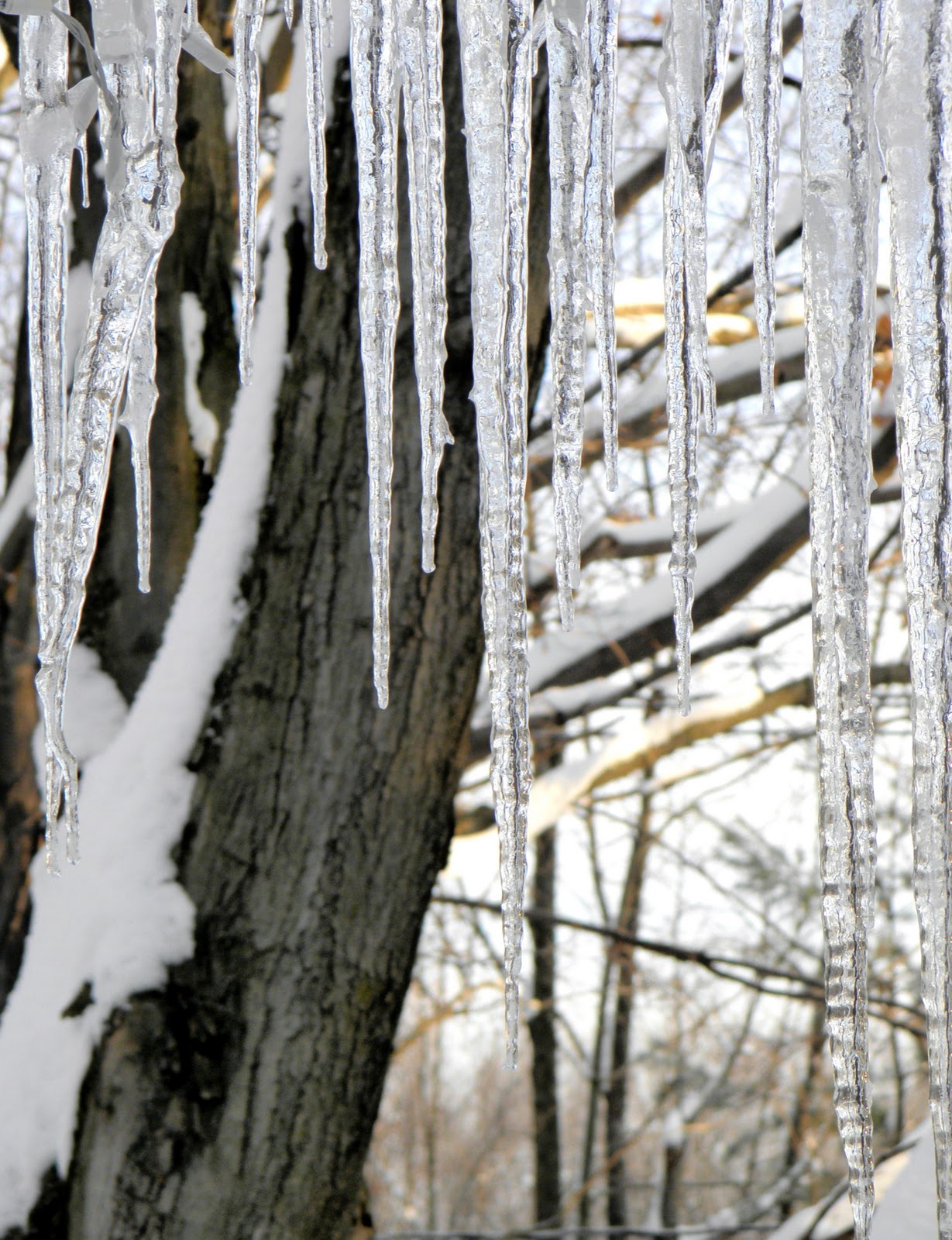 paper vernissage icicles and more snow paper vernissage icicles and more snow