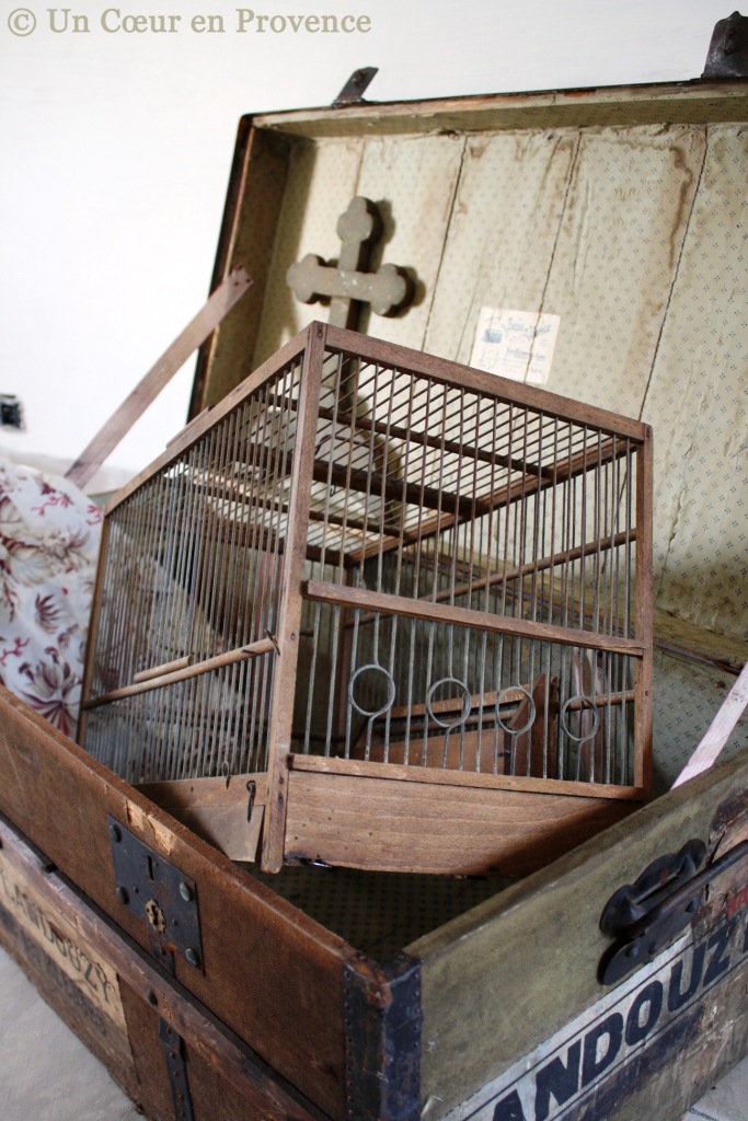 Decoration, old cages in a travel trunk