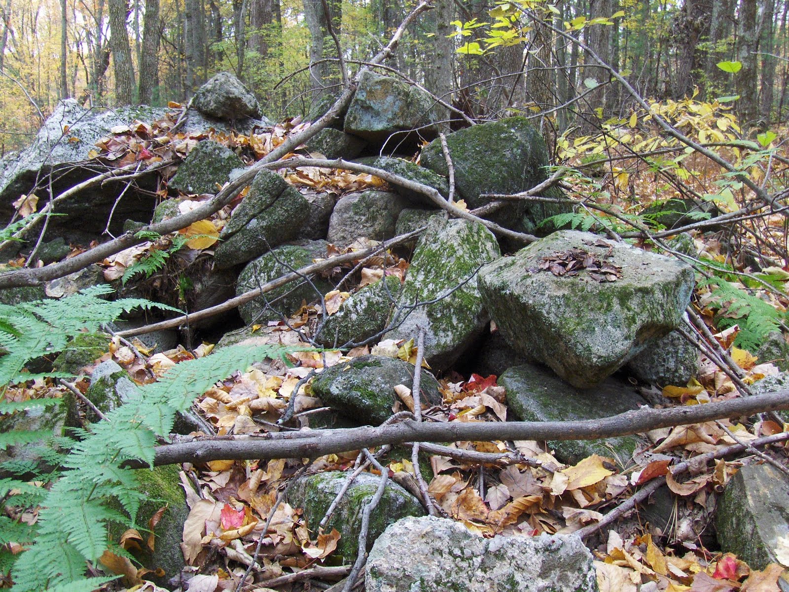 Rock Piles Indian Graveyards Concord, MA