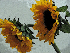 sunflowers from Joni