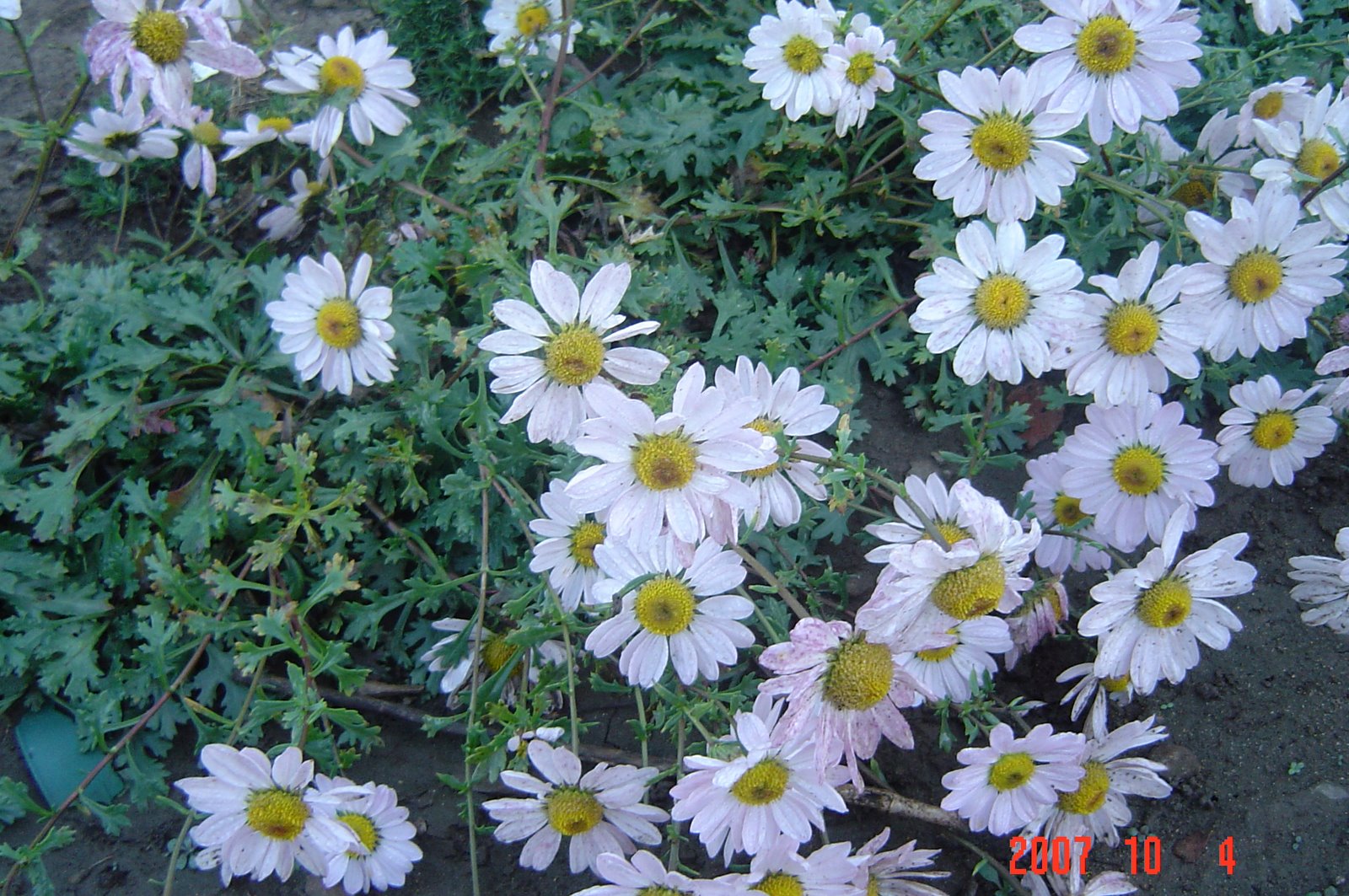 [september+2039.jpg]