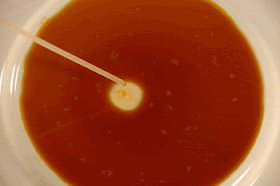 Experimente Fur Kinder Kaffee Und Alkohol Kampf Der Oberflachenspannungen