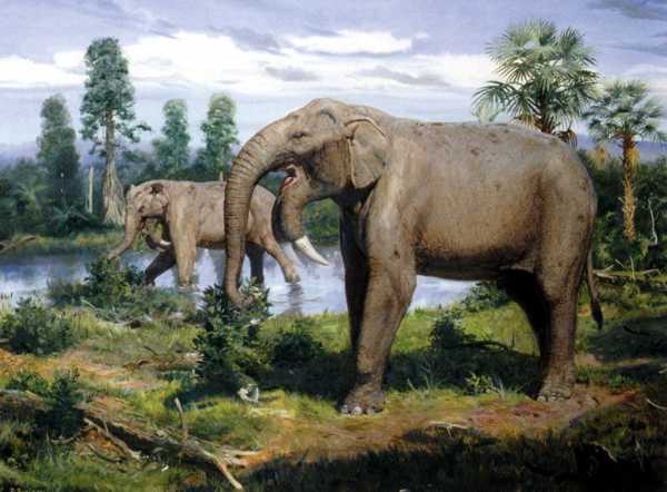 DEINOTHERIUM, Creatures