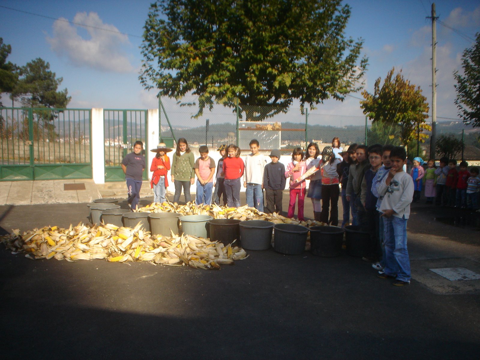 [Desfolhada+2008+006.jpg]