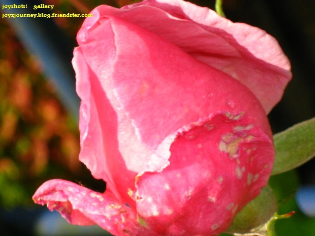 [fall+0341_edited.jpg]