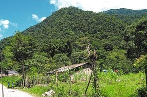 Parques Nacionales de Honduras Parque Nacional Pico Pijol
