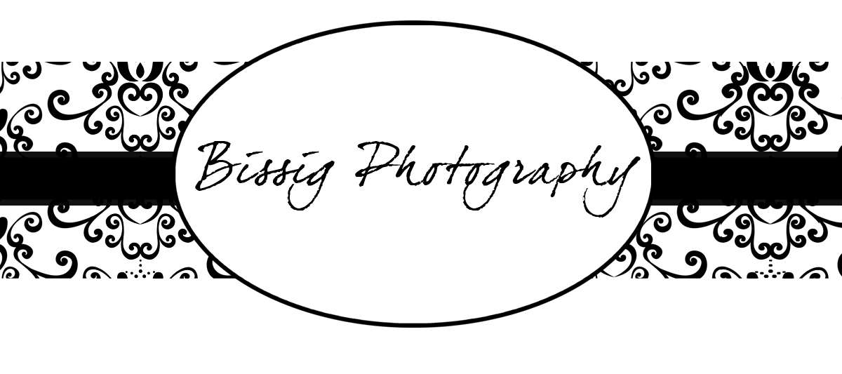 Bissig Photography Blog