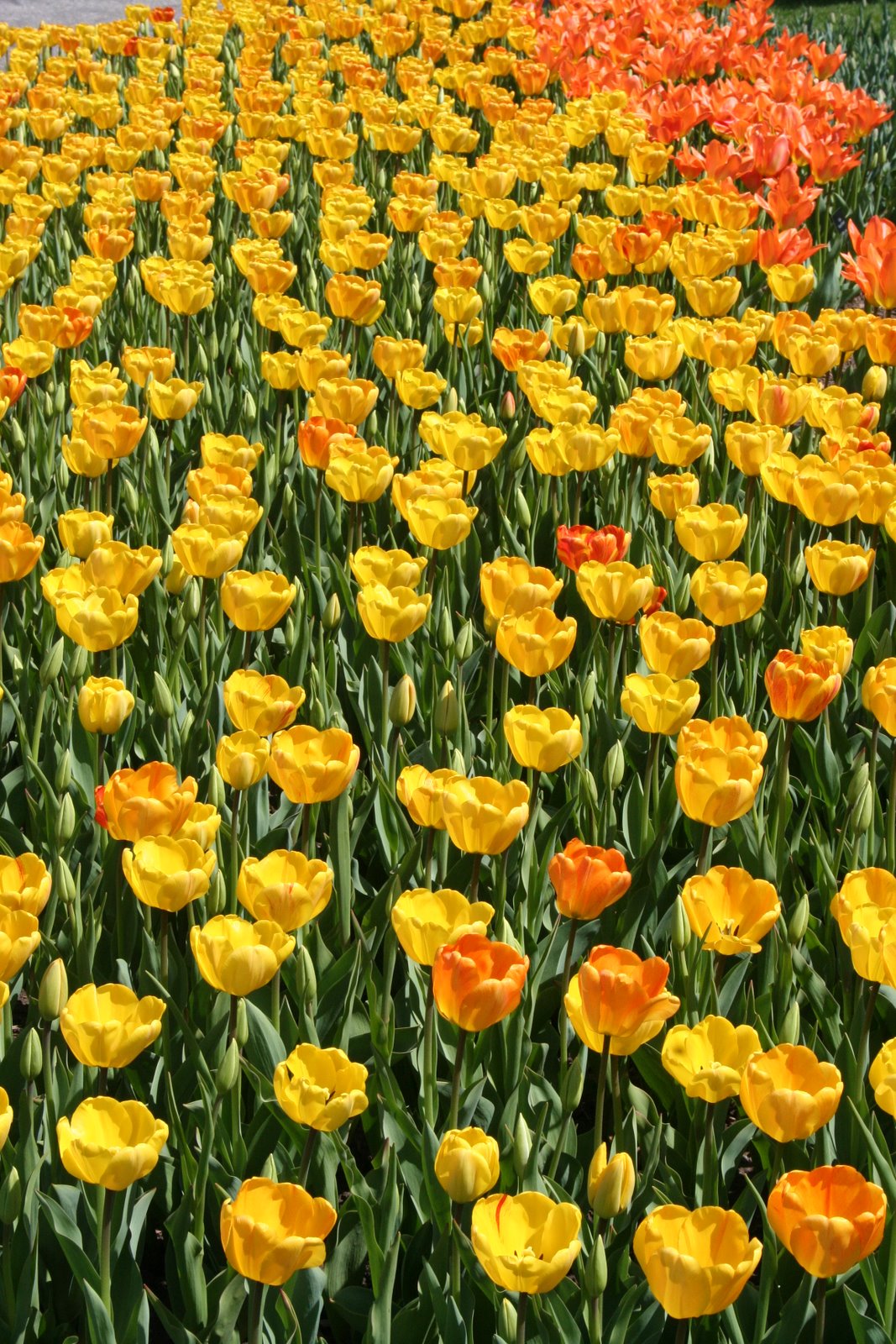 [spring09+073.jpg]