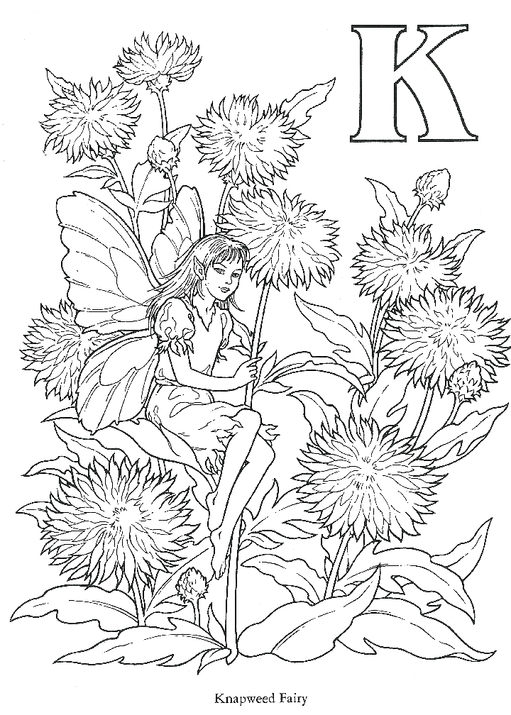 coloring pages for adults roses. coloring pages for adults