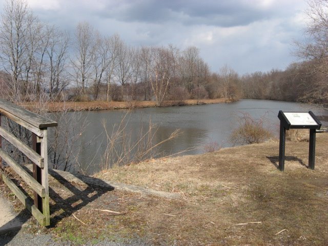 [IMG_4271.JPG]