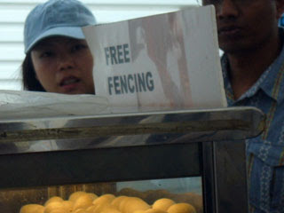 Free Fencing
