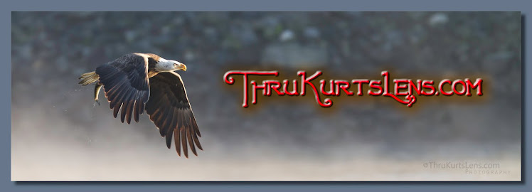 ThruKurtsLens