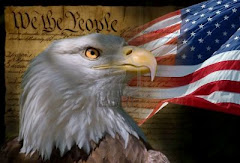 The Bald Eagle - USA's National Emblem