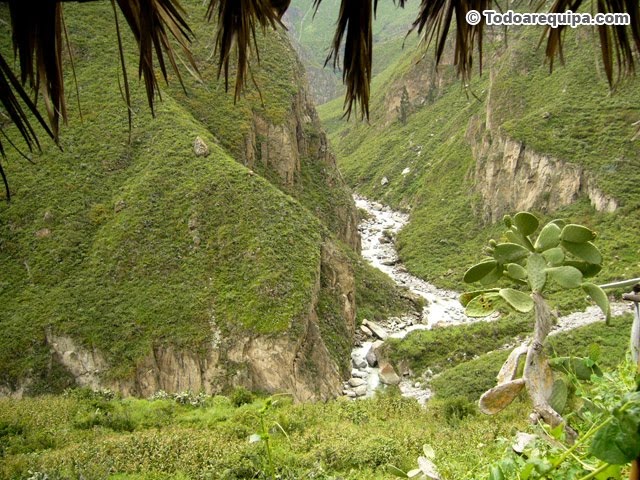 paisaje natural