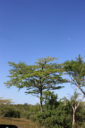 Kisampa, TANZANIA