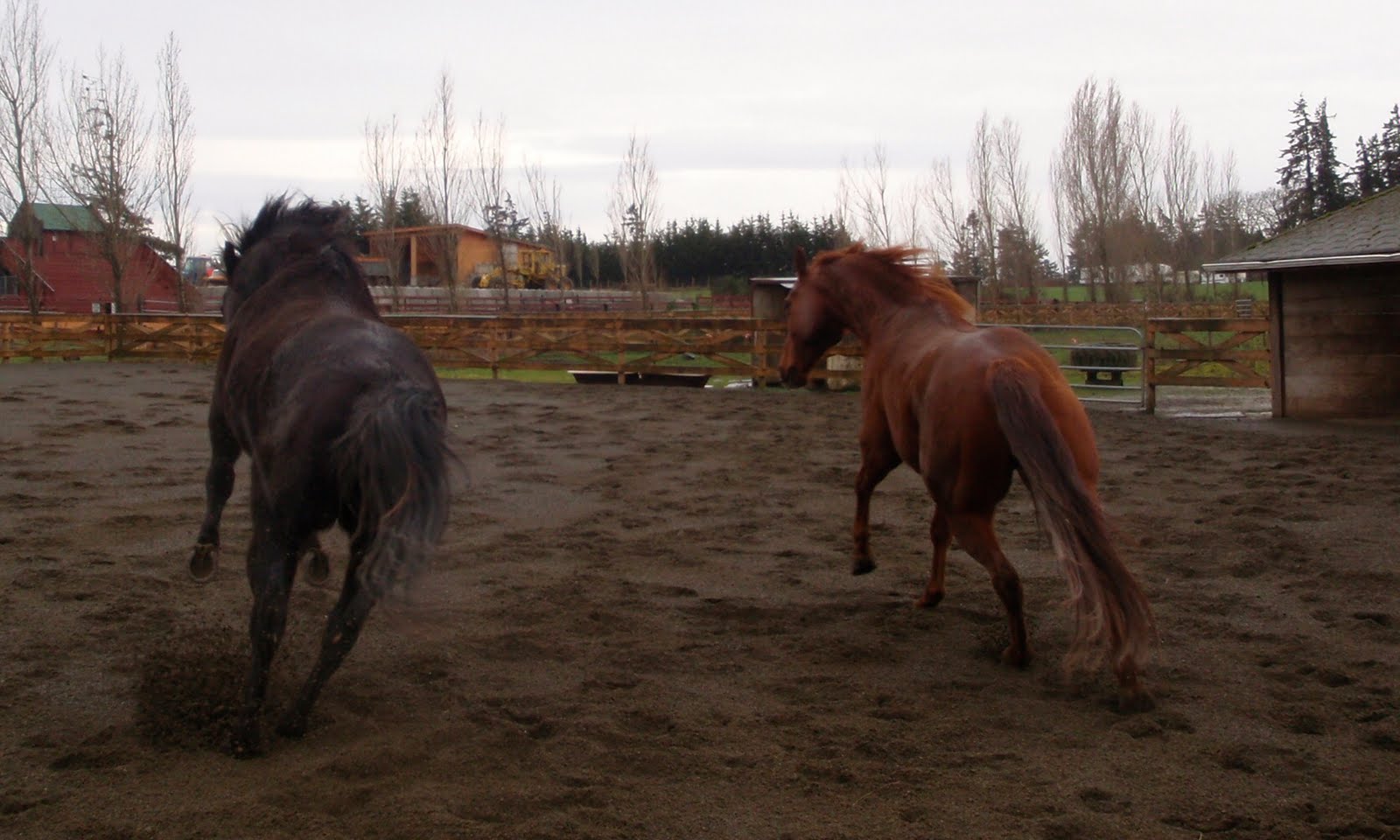 [P2120032.JPG]