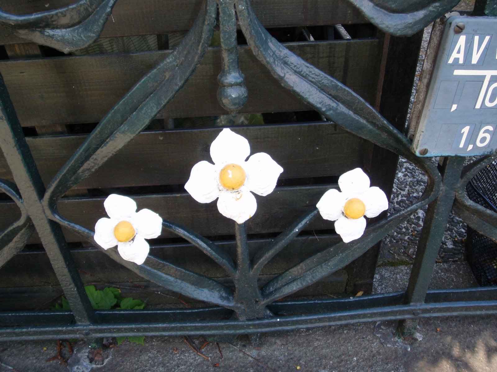 [P6210037.JPG]
