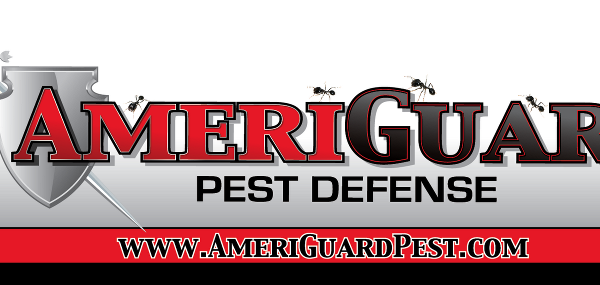 Pest, Termite, Gopher control in Temecula, Murrieta, Hemet, Moreno