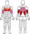 musccle buidling training,Metabolic Surge,Rapid Fat Loss, metablolic, fat loss, gain muscle, kiefit.com, social bookmarking, fitness news