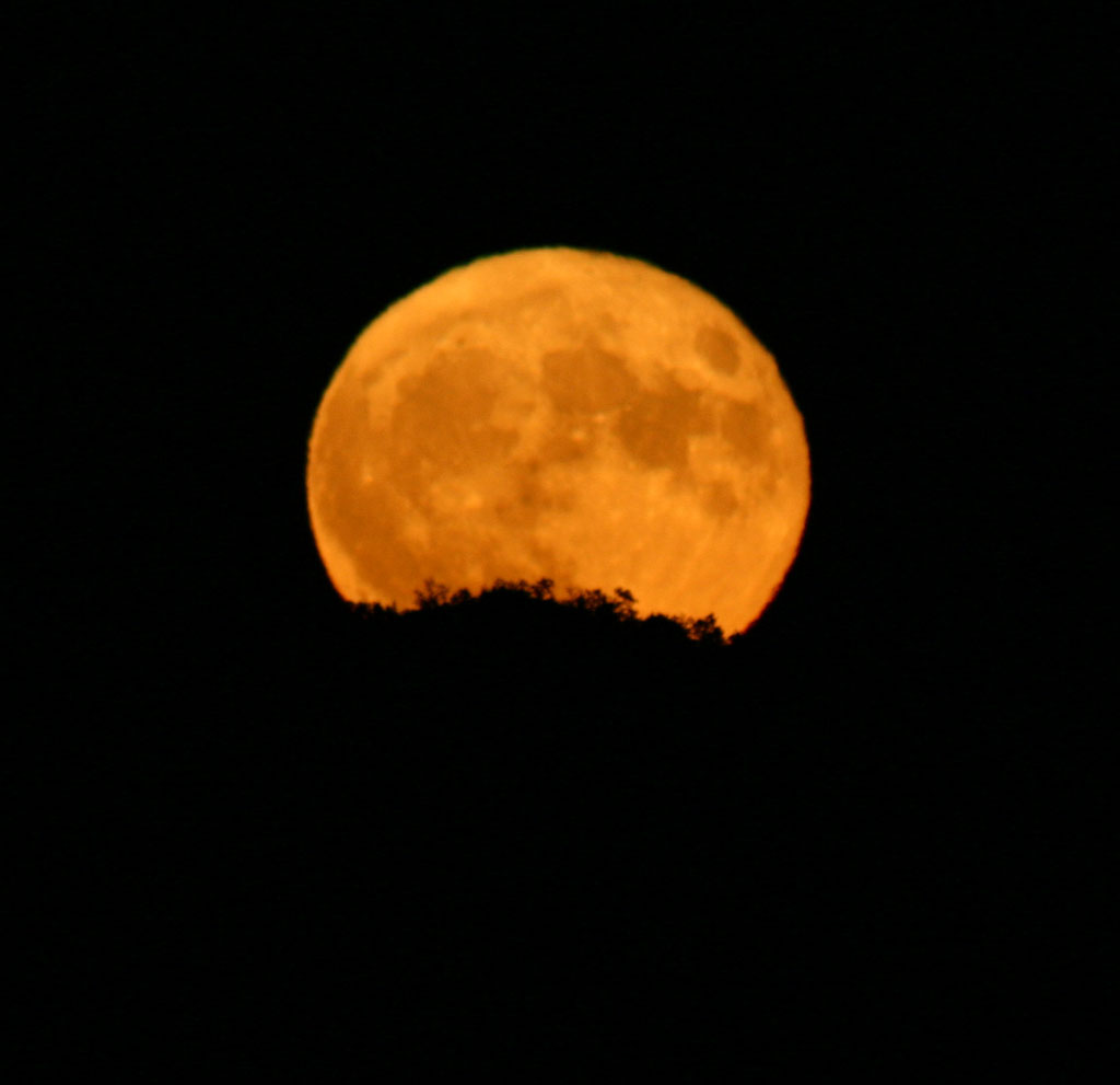 [Alba_Luna_piena.jpg]