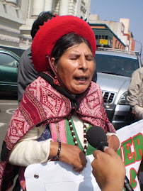 MANIFESTACION NACIONAL POR SELVATICOS