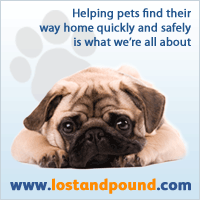 Dandy Dogs Pet Grooming Godfrey Il Dandy Dogs Pet Grooming Godfrey Il